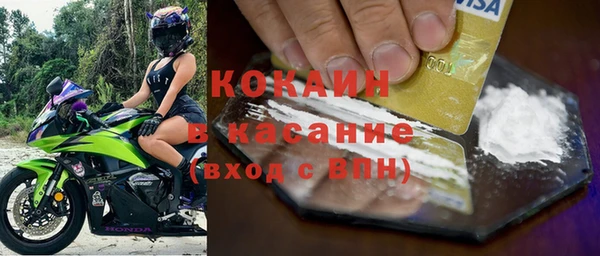 сатива Нягань