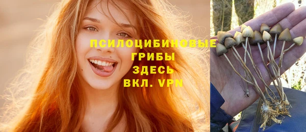 jwh Дмитров